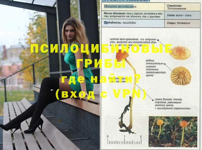 Галлюциногенные грибы GOLDEN TEACHER  blacksprut как войти  Железногорск-Илимский 