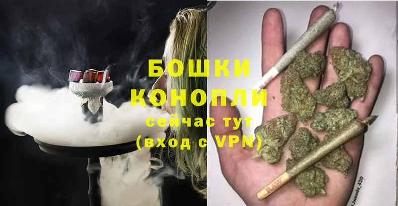 Каннабис OG Kush  цены   Железногорск-Илимский 